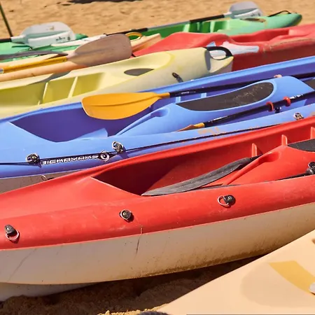 Vibrant In Centre Daire *