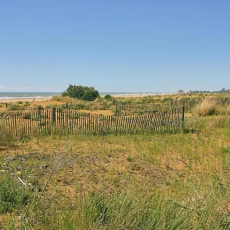 Daire Vibrant In Centre *