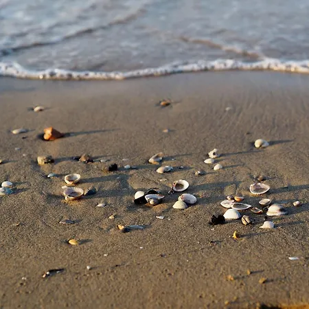 Vibrant In Centre Bibione