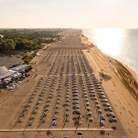 Daire Vibrant In Centre