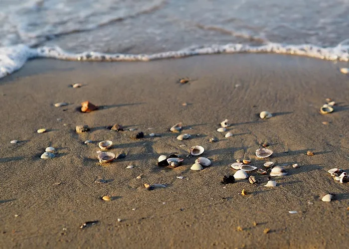 Vibrant In Centre Bibione